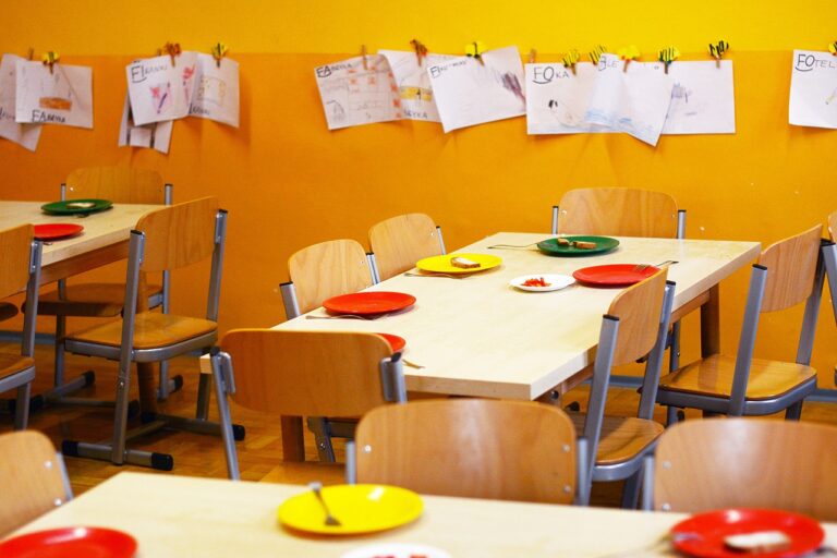  Service minimum dans les écoles