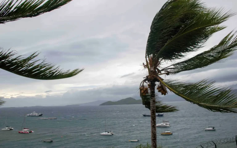  Communiqué de presse AMF « Solidarité Mayotte »